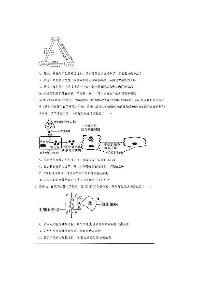 2026年高考生物一轮复习人体内环境与稳态试卷(含解析)第3页