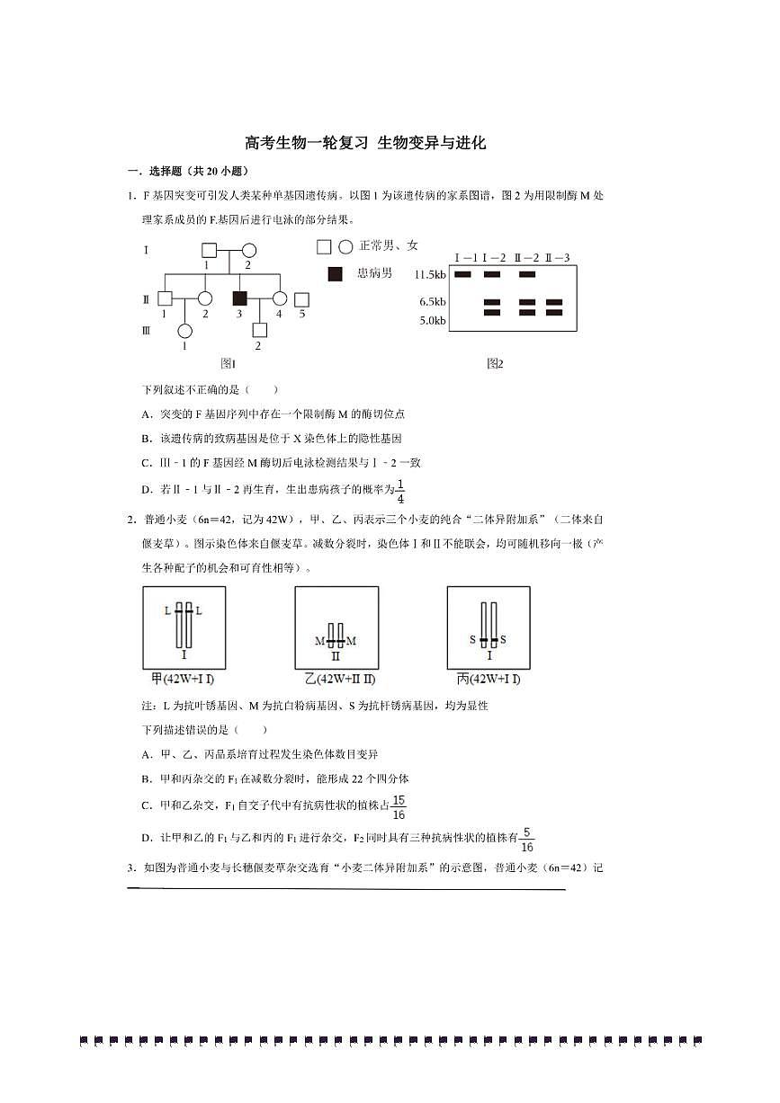 2026年高考生物一轮复习生物变异与进化试卷(含解析)第1页