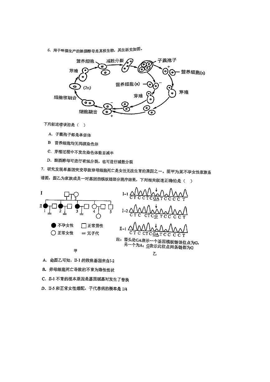 北京市人民大学附属中学2025～2026学年高三上开学生物试卷(,无答案)第3页