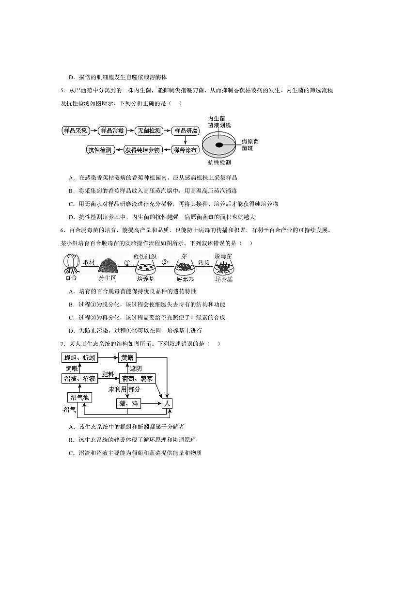 2025届重庆市好教育联盟高三上入学联考(月考)生物试卷(含答案)第2页