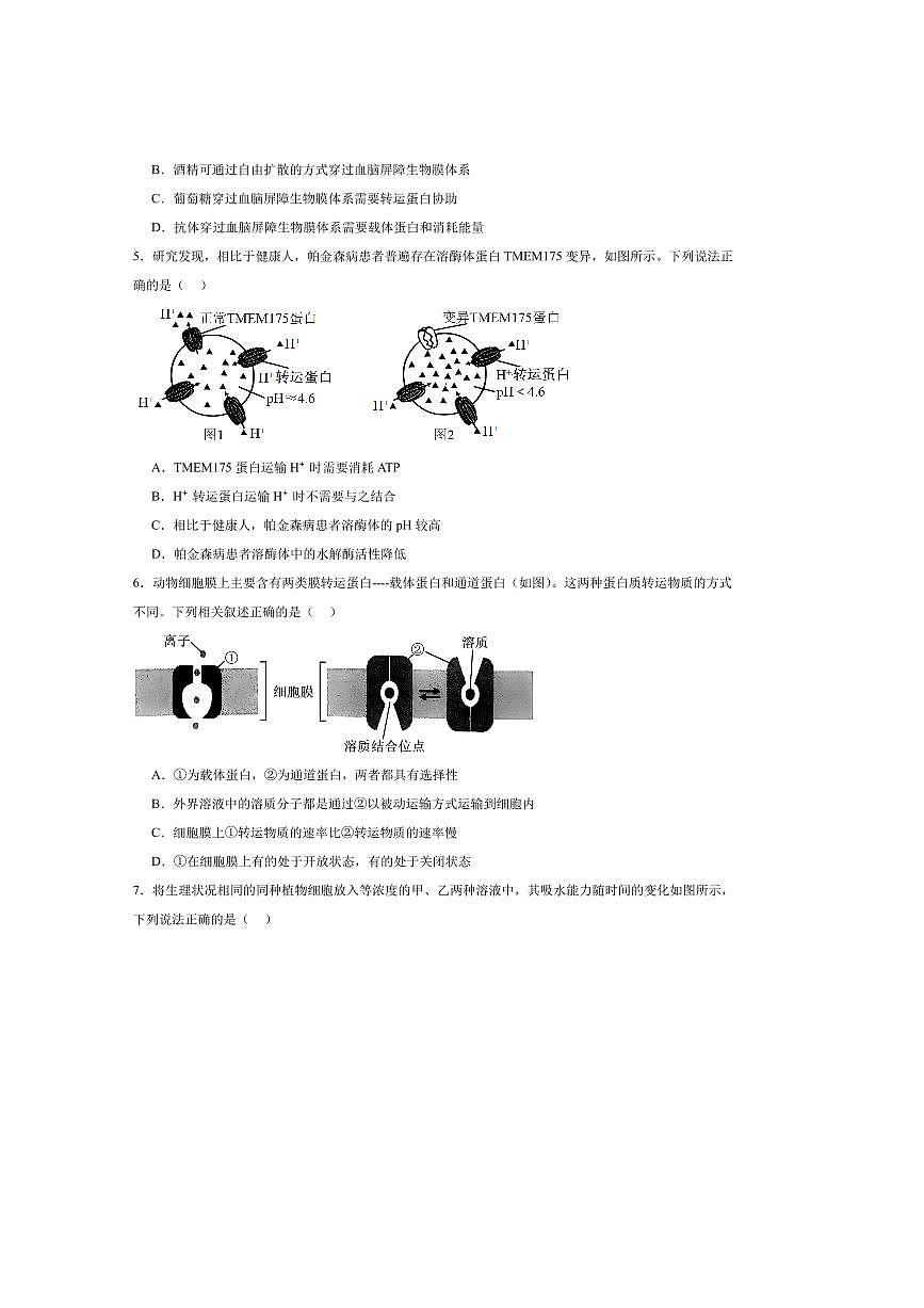 2025届江西省宜春市高二上中高三上9月月考生物试卷(含答案)第2页