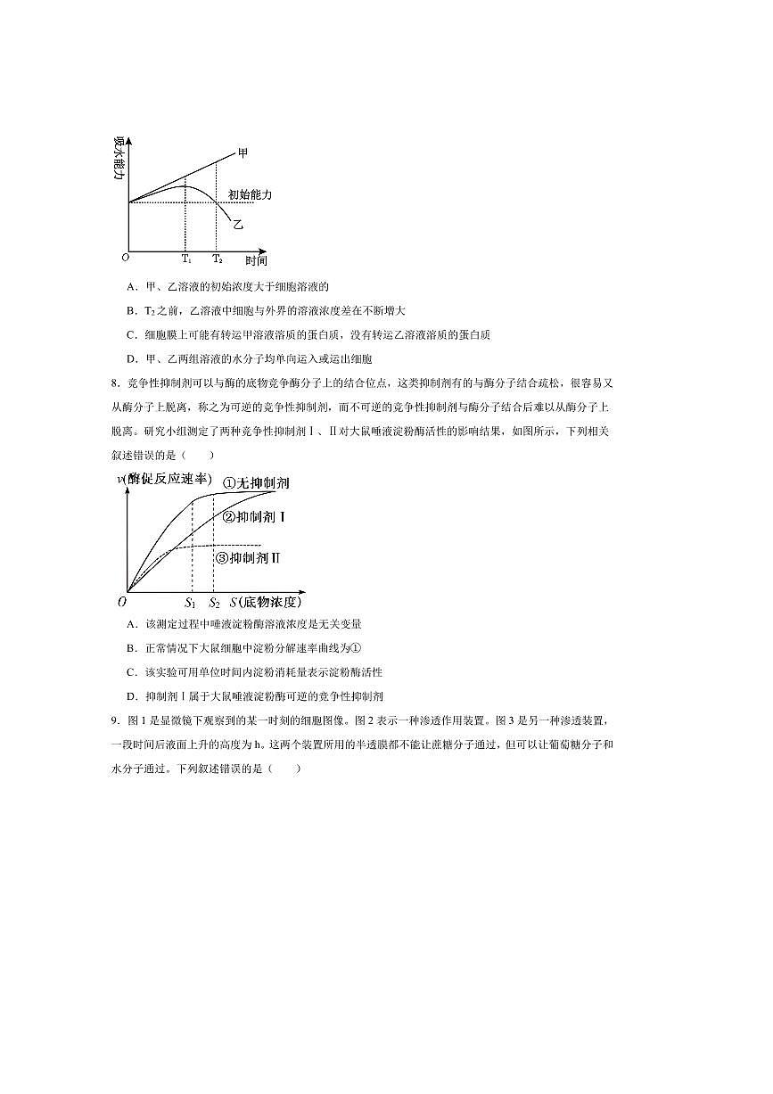 2025届江西省宜春市高二上中高三上9月月考生物试卷(含答案)第3页