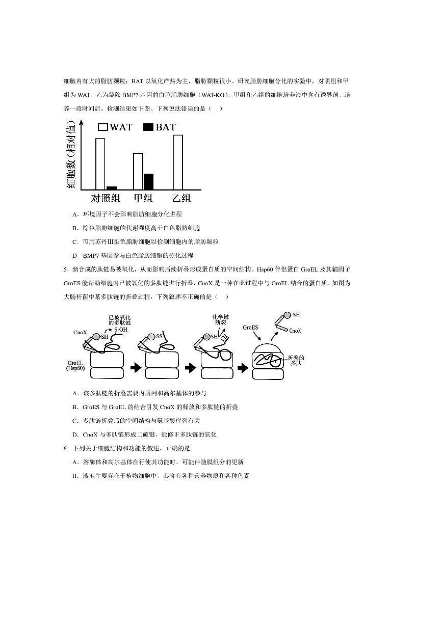 2025届重庆市四川外国语大学附属外国语学校高三上第1次考试(开学)生物试卷(含答案)第2页