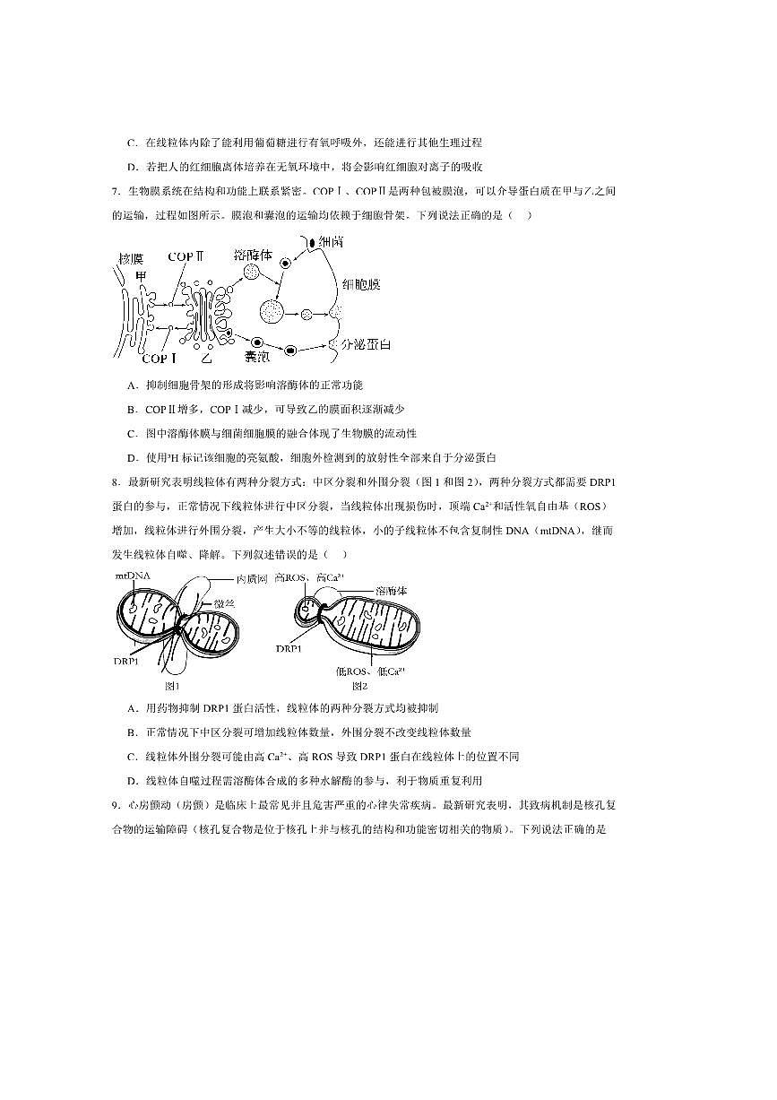 2025届重庆市四川外国语大学附属外国语学校高三上第1次考试(开学)生物试卷(含答案)第3页