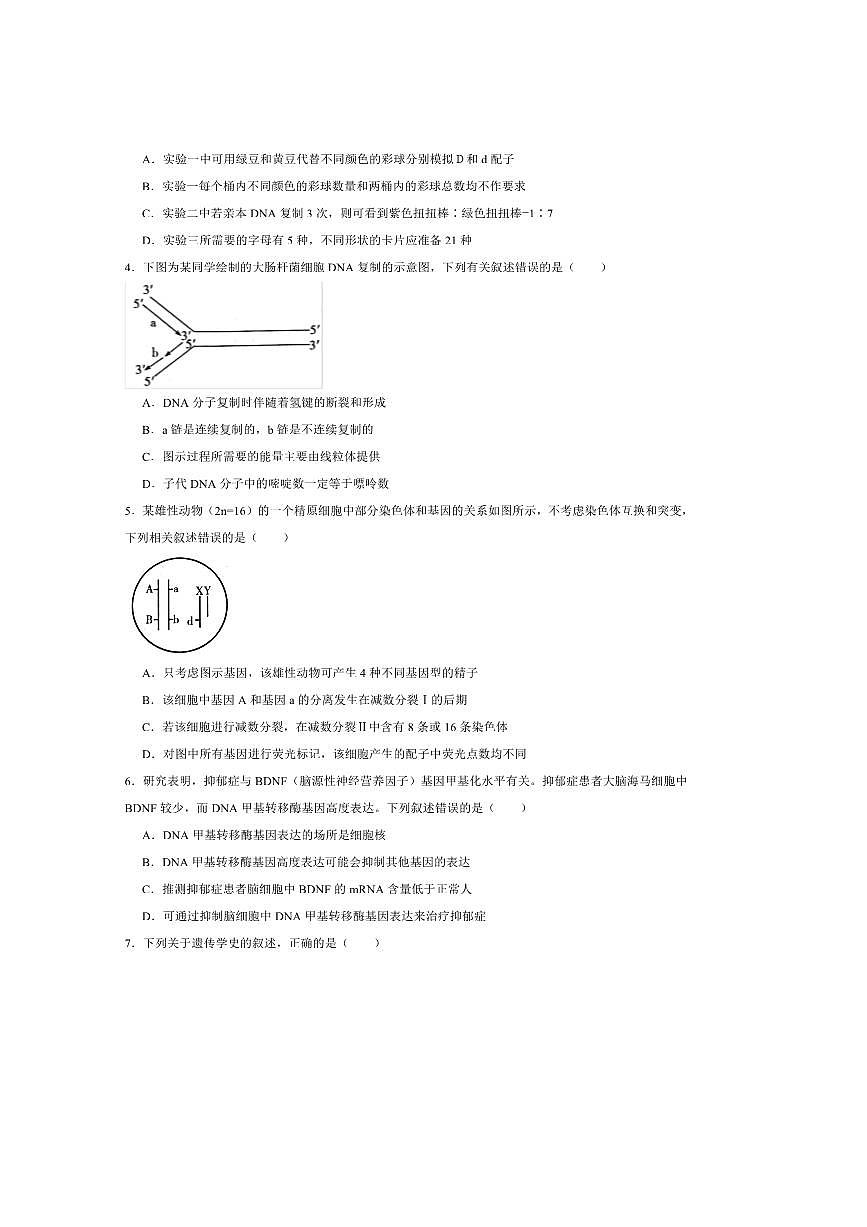 2024～2025学年河南省学校高二上开学考试生物试卷(含答案)第2页