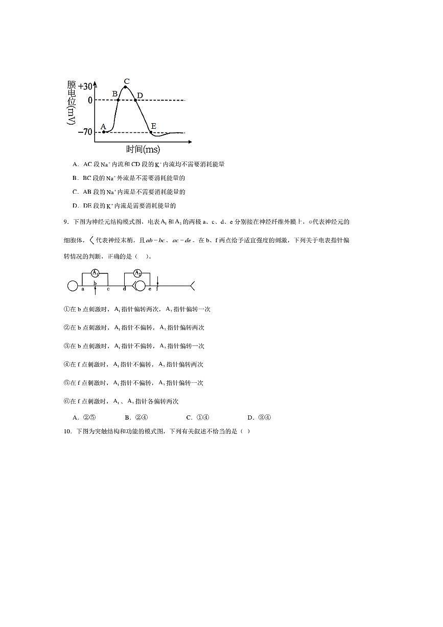 2024～2025学年吉林省白山市长白朝鲜族自治县实验中学高二上10月月考生物试卷(含答案)第3页