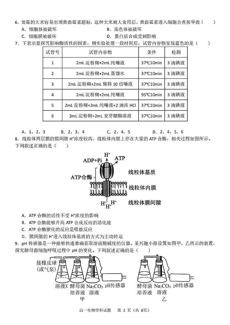 浙江省杭州市S9联盟2024-2025学年高一下学期4月期中生物试卷（有答案）第2页