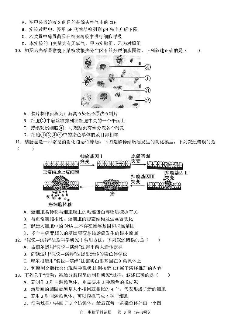 浙江省杭州市S9联盟2024-2025学年高一下学期4月期中生物试卷（有答案）第3页