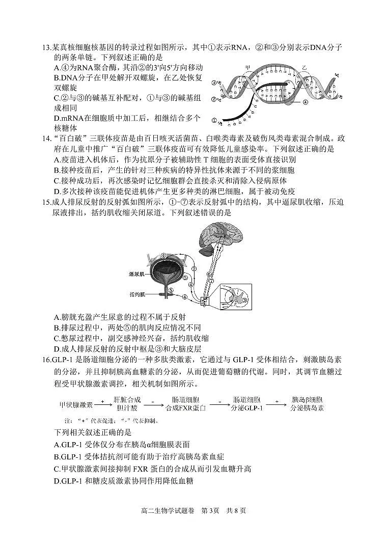 浙江省丽水市2023-2024学年高二下学期6月期末考试生物试卷+答案第3页