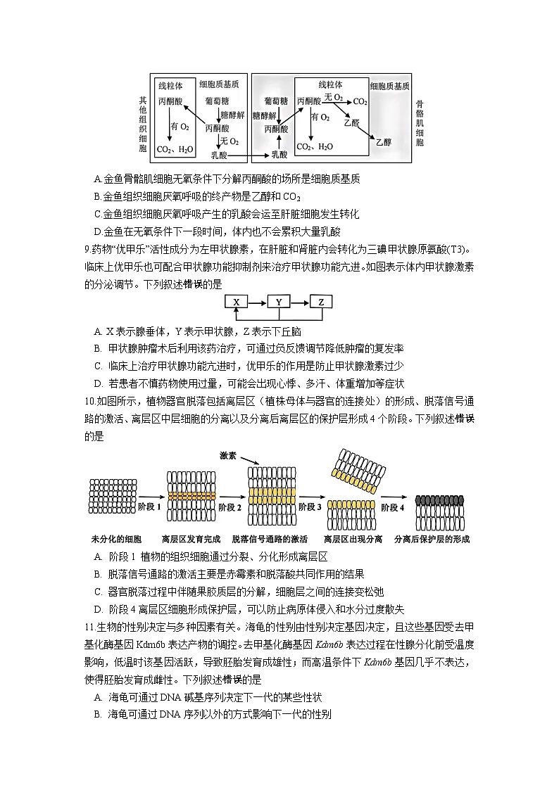 浙江省名校新高考研究联盟2026届高三上学期第一次联考生物试题卷第3页