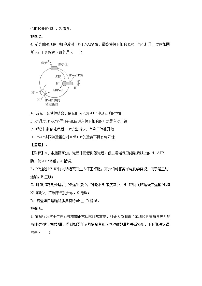 安徽省2025年普通高中学业水平选择性考试（五）生物试卷（解析版）第3页