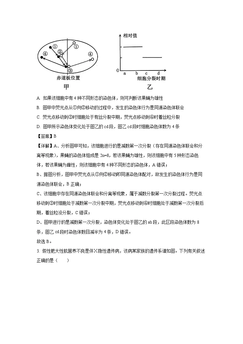 山西省大同市2024-2025学年高一下学期期末教学质量监测试题生物试卷（解析版）第2页