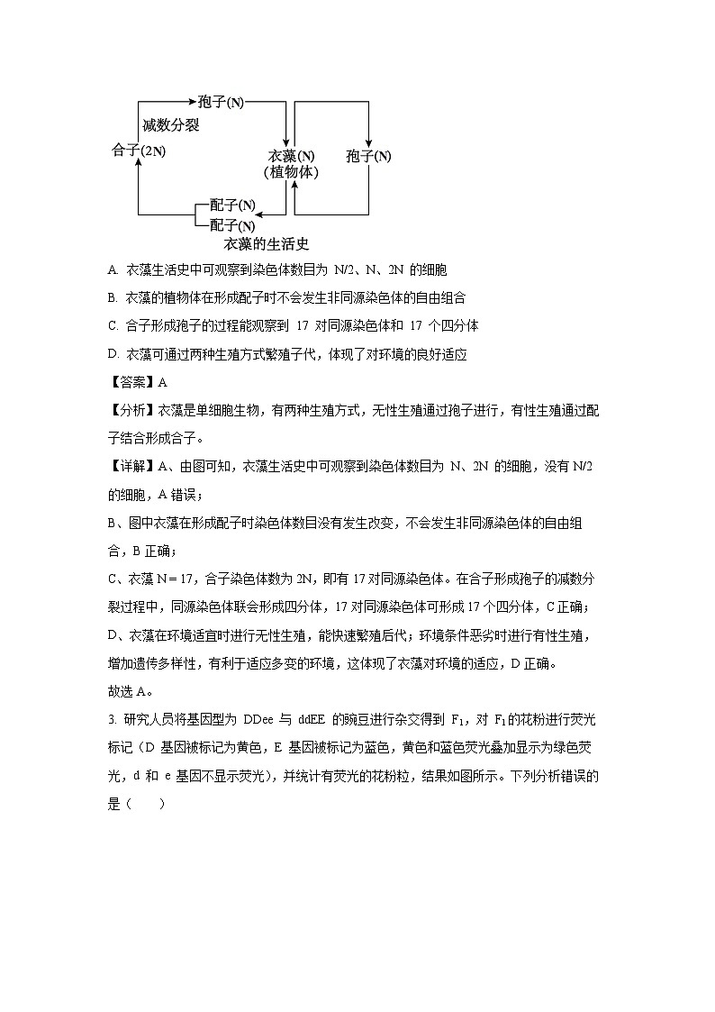 四川省甘孜藏族自治州2024-2025学年高一下学期7月期末试题生物试卷（解析版）第2页