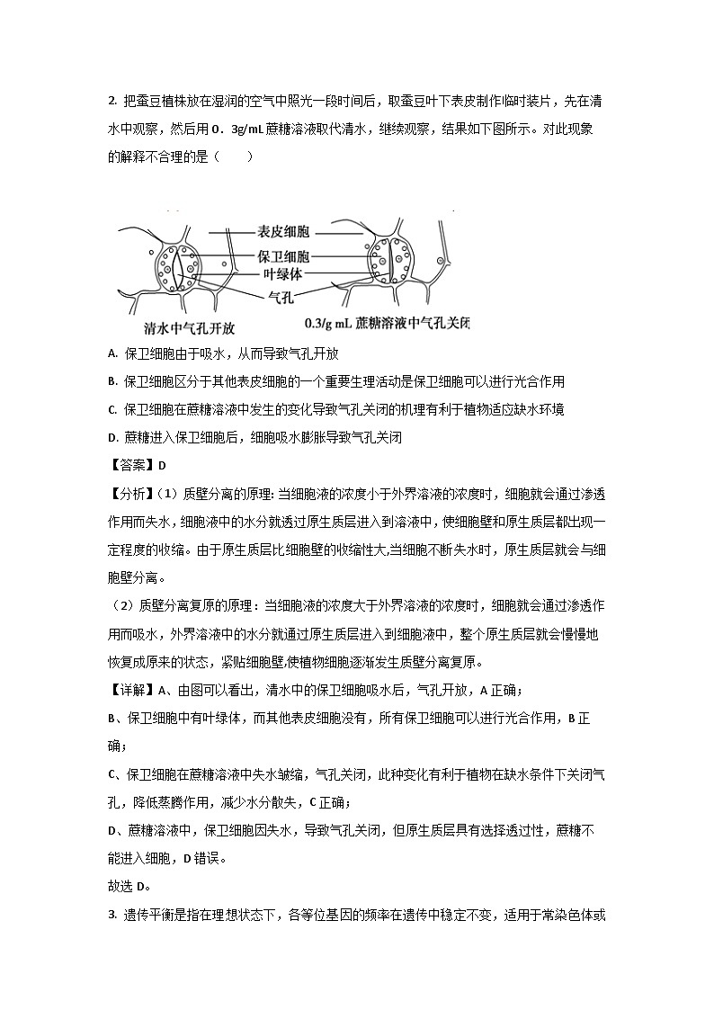 广西壮族自治区桂林市叠彩区2025届高三下一模试题生物试卷（解析版）第2页