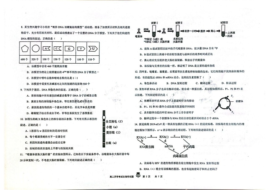 黑龙江省大庆实验中学2025-2026学年高二上学期开学考试生物试卷第2页