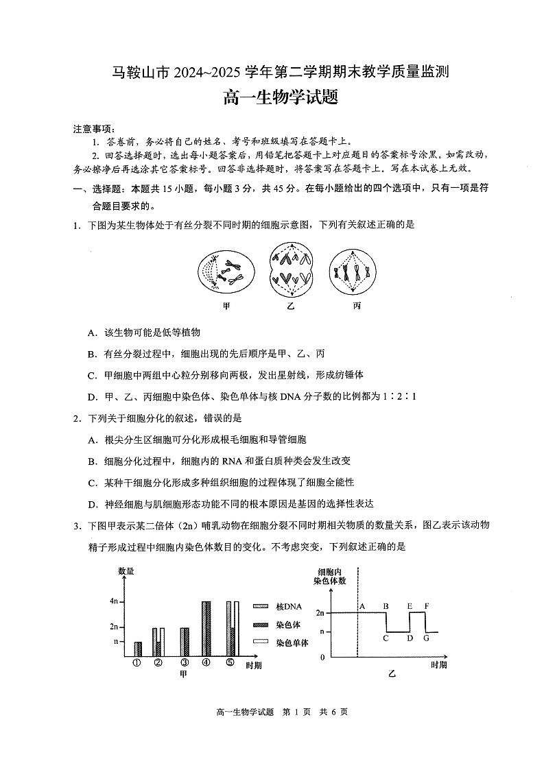 安徽省马鞍山市2024-2025学年高一下学期期末考试生物试卷第1页