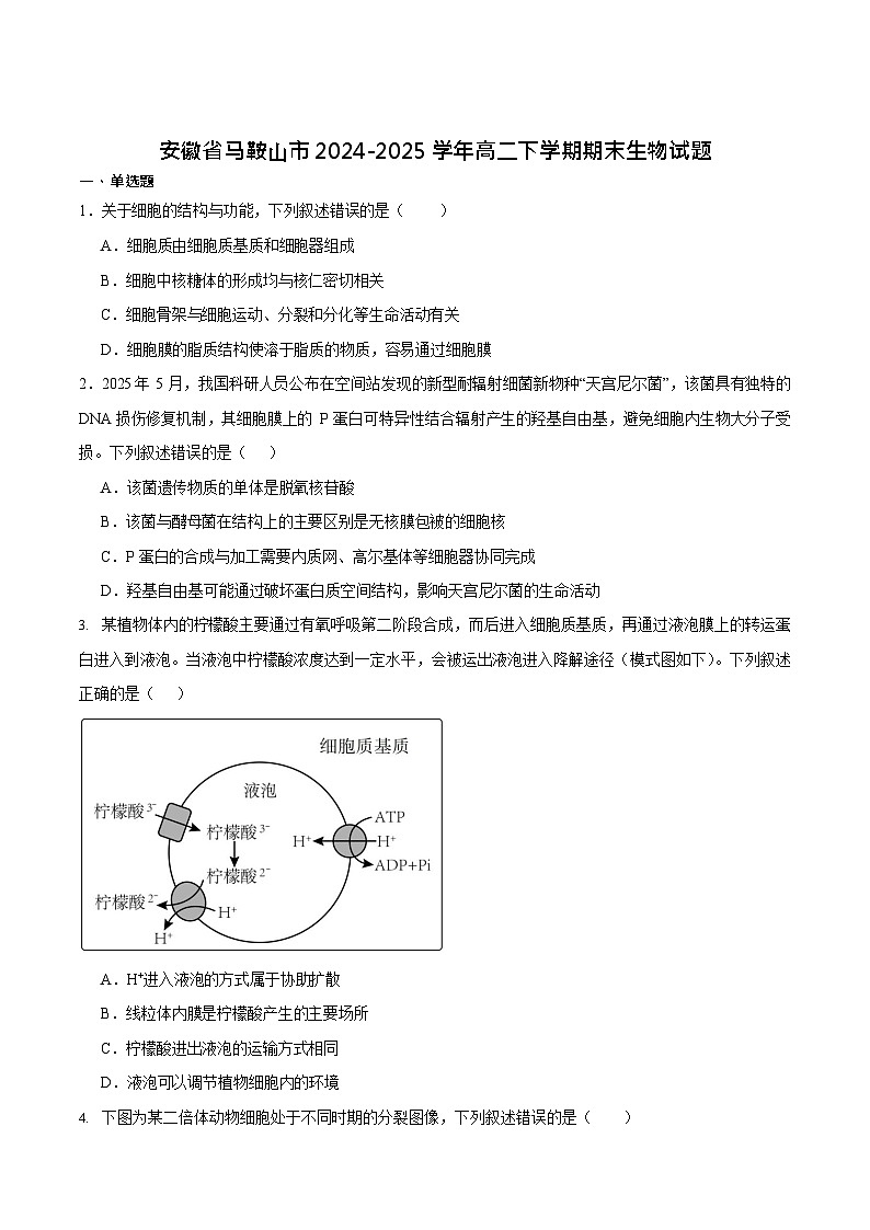 安徽省马鞍山市2024-2025学年高二下学期期末考试 生物试卷第1页