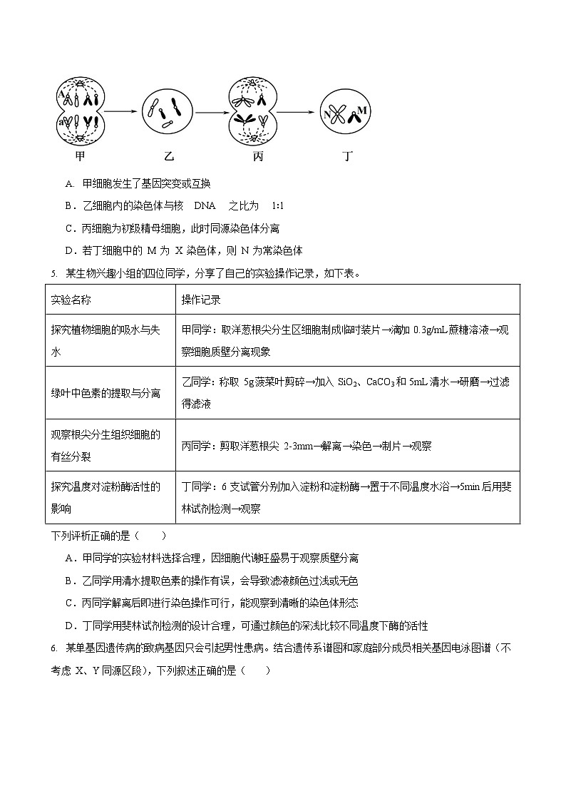 安徽省马鞍山市2024-2025学年高二下学期期末考试 生物试卷第2页