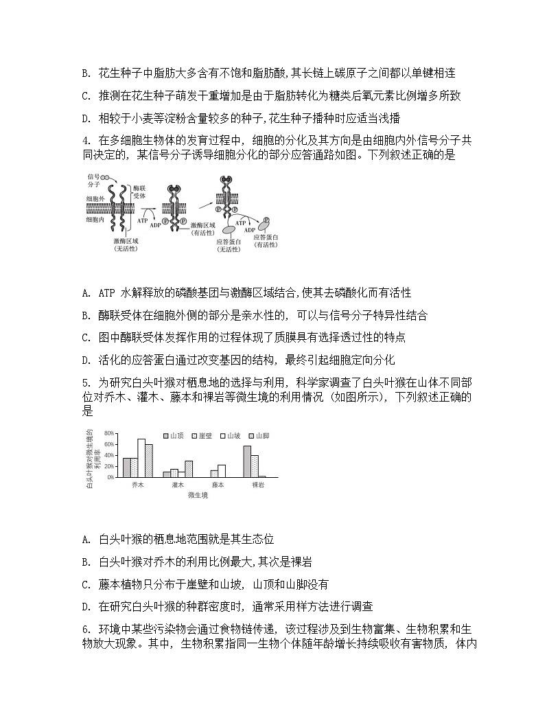 广西邕横教育名校联盟2026届高三上学期8月联合调研测试  生物  Word版含答案第2页