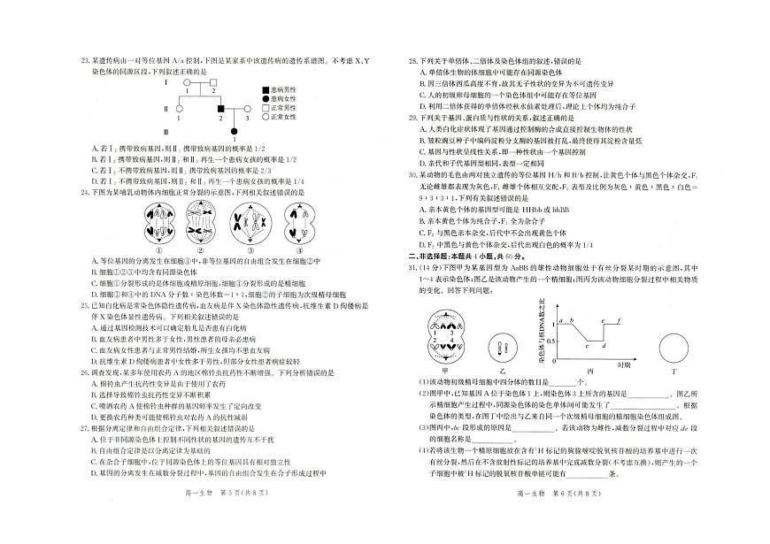 河北省雄安新区雄安十校2024-2025学年高一下学期期末考试生物试题（PDF版附解析）第3页