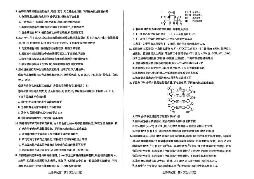 河南省濮阳市2024-2025学年高一下学期7月期末考试生物试题（PDF版附答案）第2页