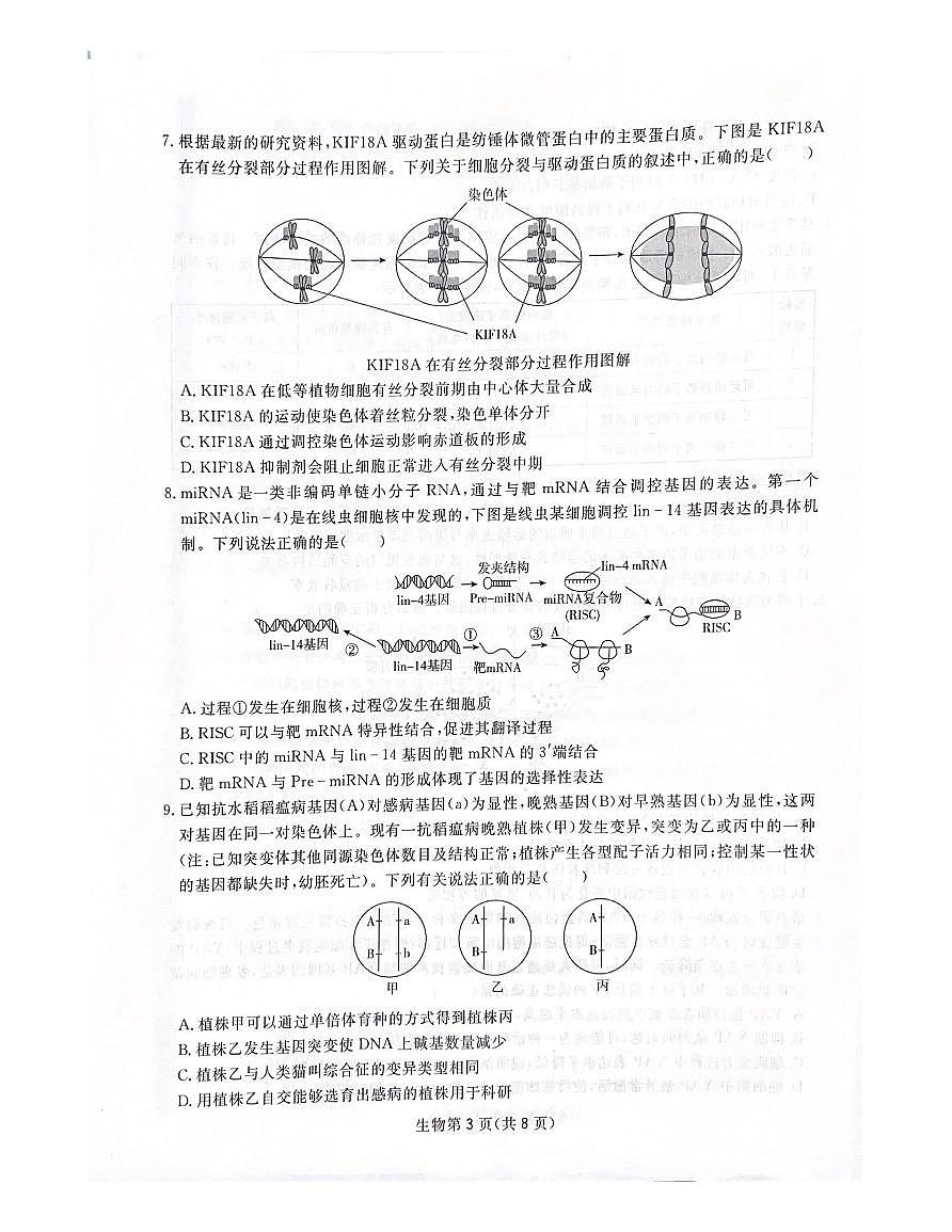 四川省2024-2025学年高三下学期第一次教学质量联合测评（2月联考）生物试题+答案第3页