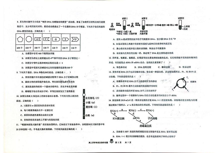 黑龙江省大庆实验中学2025-2026学年高二上学期开学考试生物试卷第2页