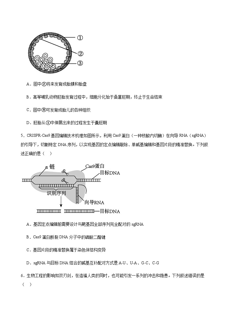 吉林省长春市长春汽车经济技术开发区第三中学2024-2025学年高二下学期7月期末考试生物学试卷（含答案）第2页