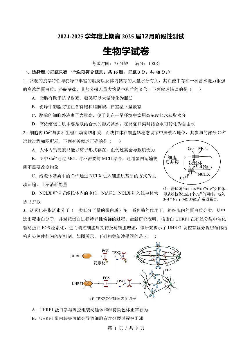 四川省成都市第七中学2024-2025学年高三上学期12月阶段性考试生物试卷+答案(1)第1页