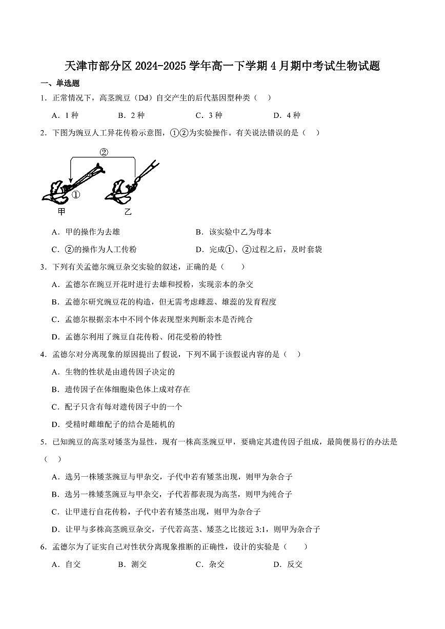 天津市部分区2024-2025学年高一下学期期中练习生物试卷（有答案）第1页