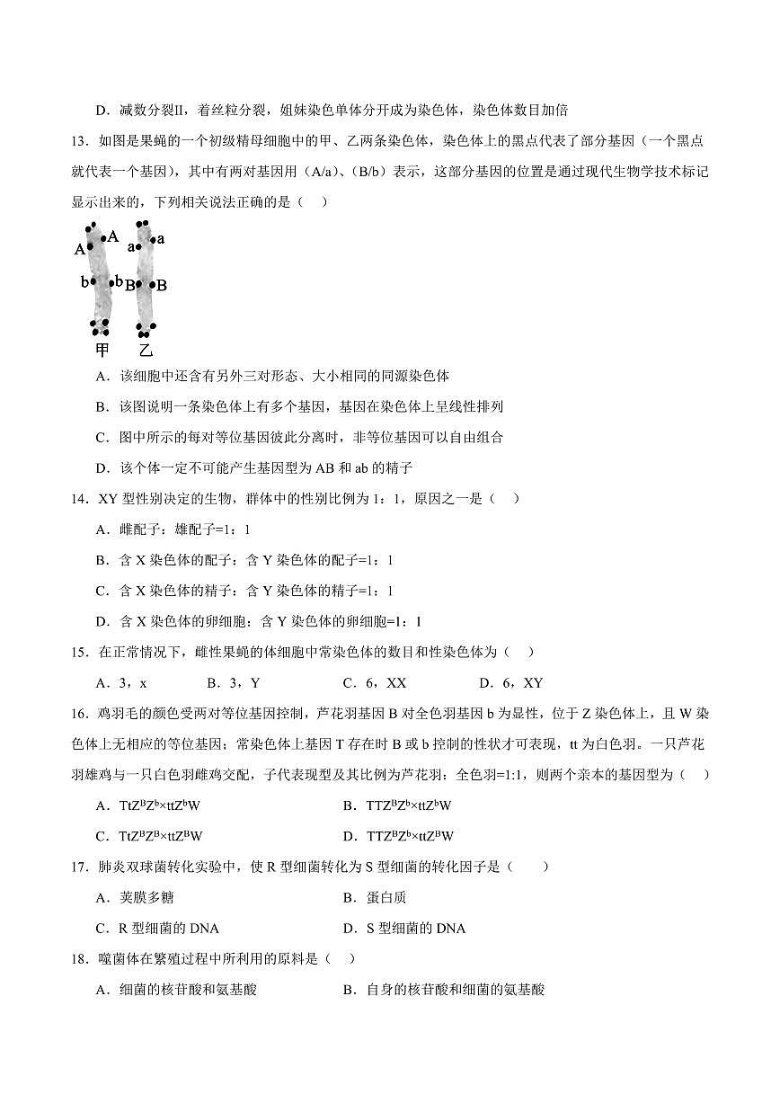 天津市部分区2024-2025学年高一下学期期中练习生物试卷（有答案）第3页