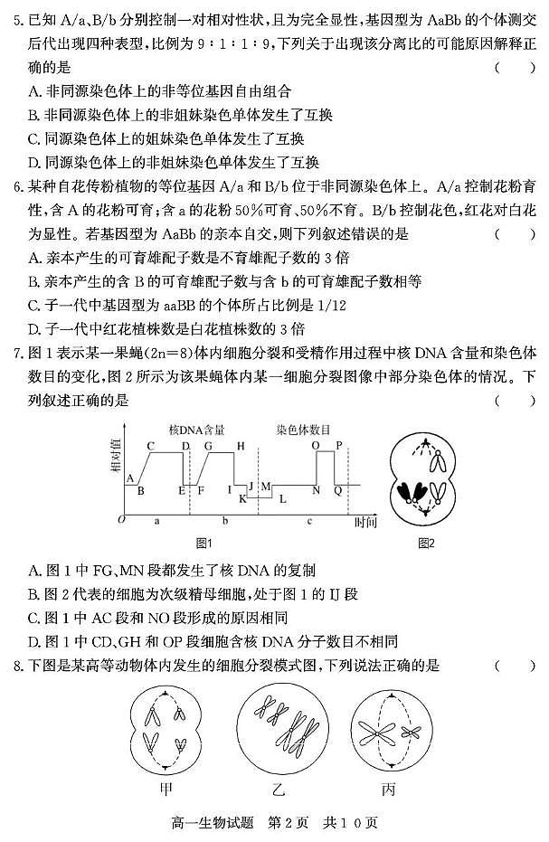 山东省济宁市兖州区2024-2025学年高一下学期期中考试生物试卷第2页