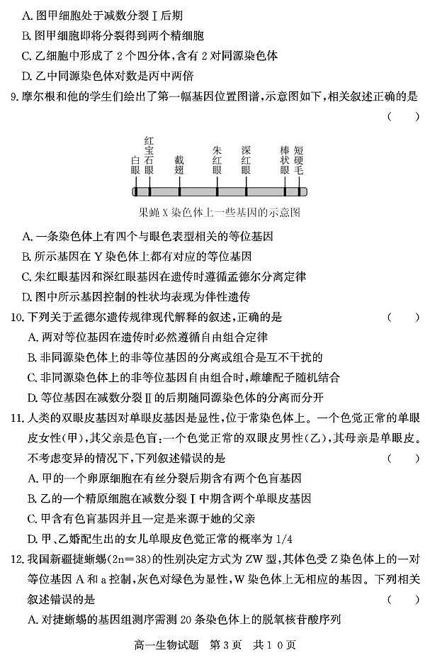 山东省济宁市兖州区2024-2025学年高一下学期期中考试生物试卷第3页