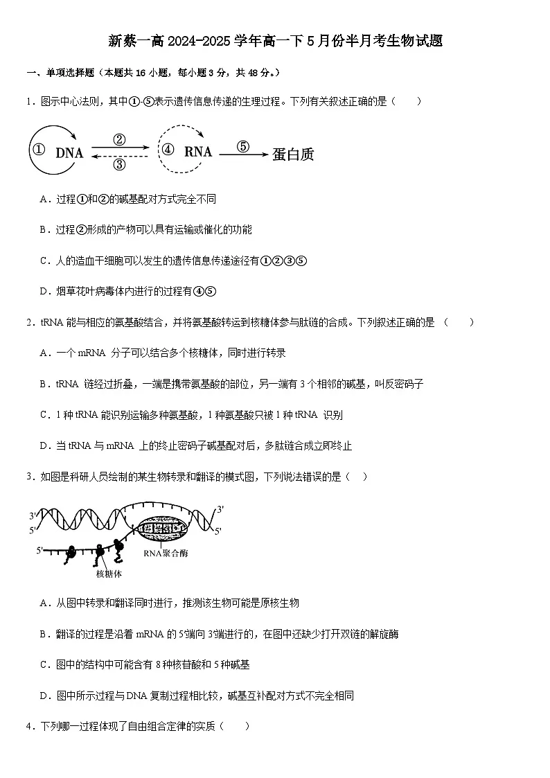 河南省驻马店市新蔡县第一高级中学2024-2025学年高一下学期5月半月考生物试卷+答案第1页
