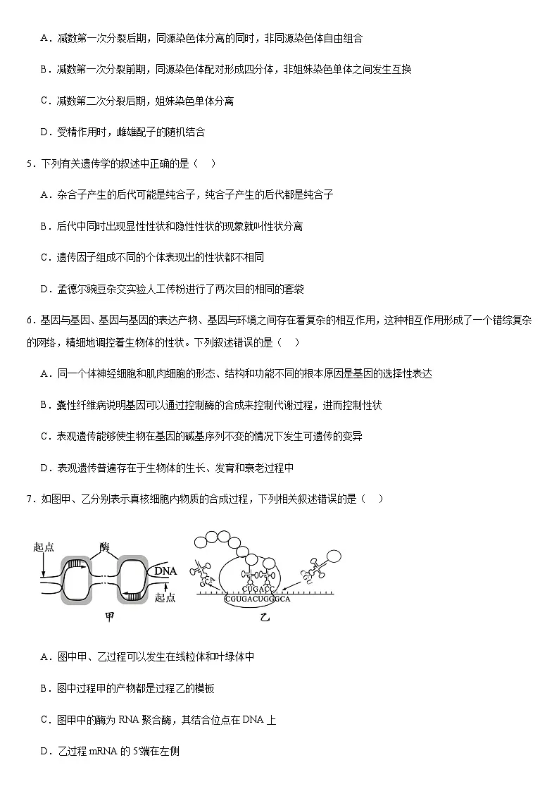 河南省驻马店市新蔡县第一高级中学2024-2025学年高一下学期5月半月考生物试卷+答案第2页