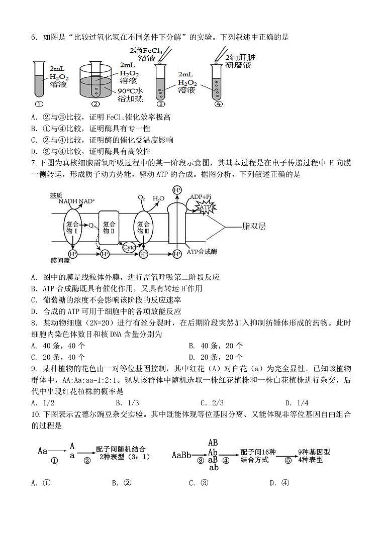 浙江省浙里特色联盟2024-2025学年高一下学期4月期中联考生物试卷+答案第2页