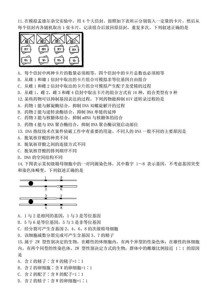 浙江省浙里特色联盟2024-2025学年高一下学期4月期中联考生物试卷+答案第3页