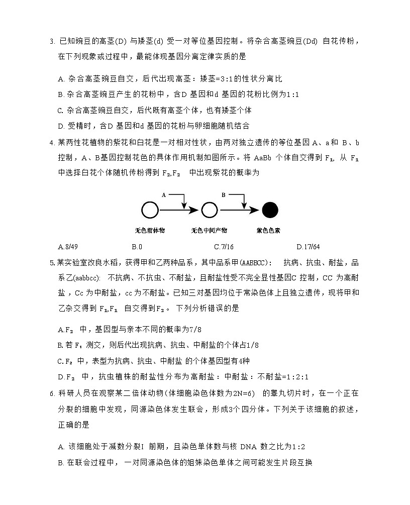 安徽省鼎尖名校2024-2025学年高一下学期5月阶段性检测生物（A）试卷（有解析）第3页