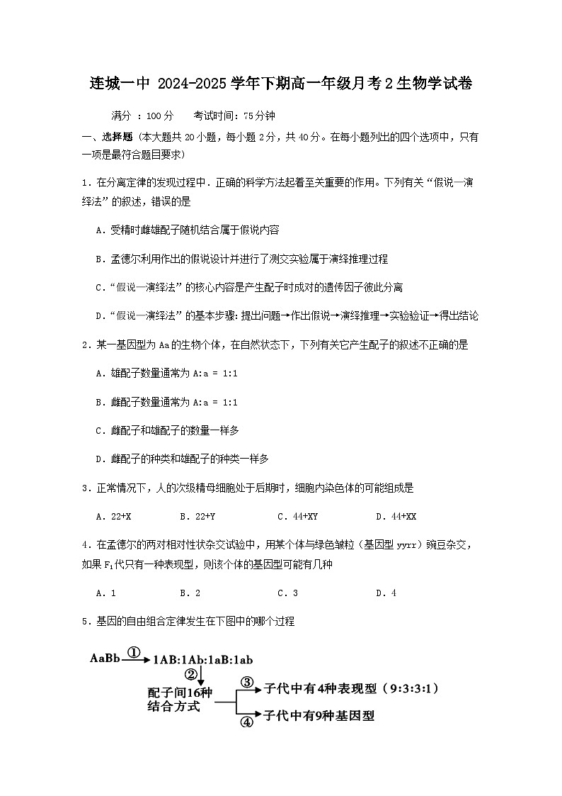 福建省龙岩市连城县第一中学2024-2025学年高一下学期5月月考生物试题（含答案）第1页