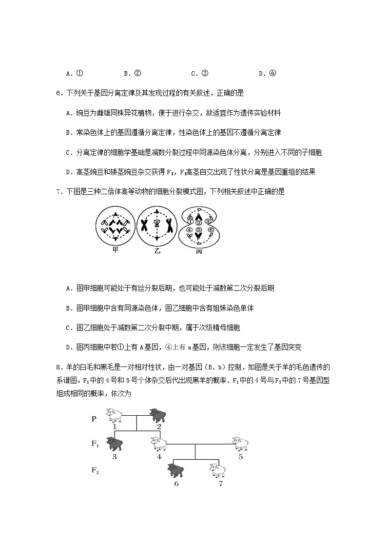 福建省龙岩市连城县第一中学2024-2025学年高一下学期5月月考生物试题（含答案）第2页