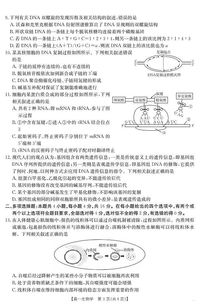 金太阳·江西省2024-2025学年高一下学期6月联考生物试卷+答案第3页