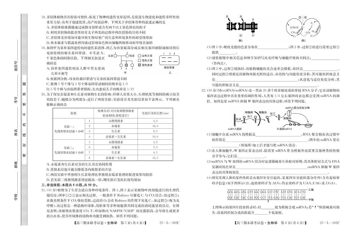 内蒙古鄂尔多斯市西四旗2025届高三上学期期末联考生物试题+答案第3页