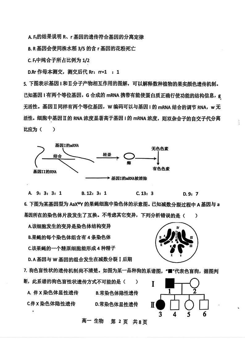 安徽省宿州市省、市示范高中2024-2025学年高一下学期期末考试 生物试卷第2页