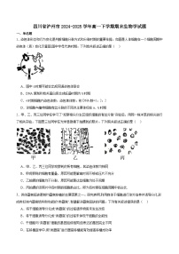 四川省泸州市2024-2025学年高一下学期期末统一考试 生物试卷