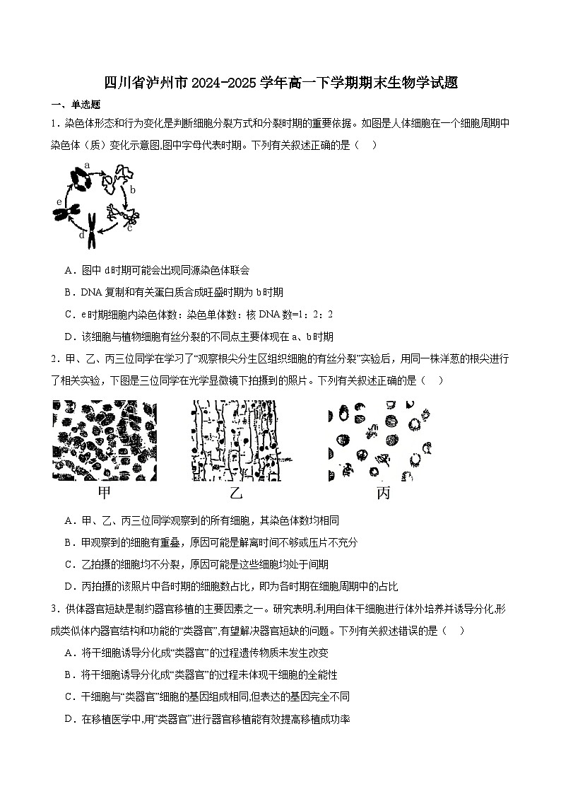 四川省泸州市2024-2025学年高一下学期期末统一考试 生物试卷第1页