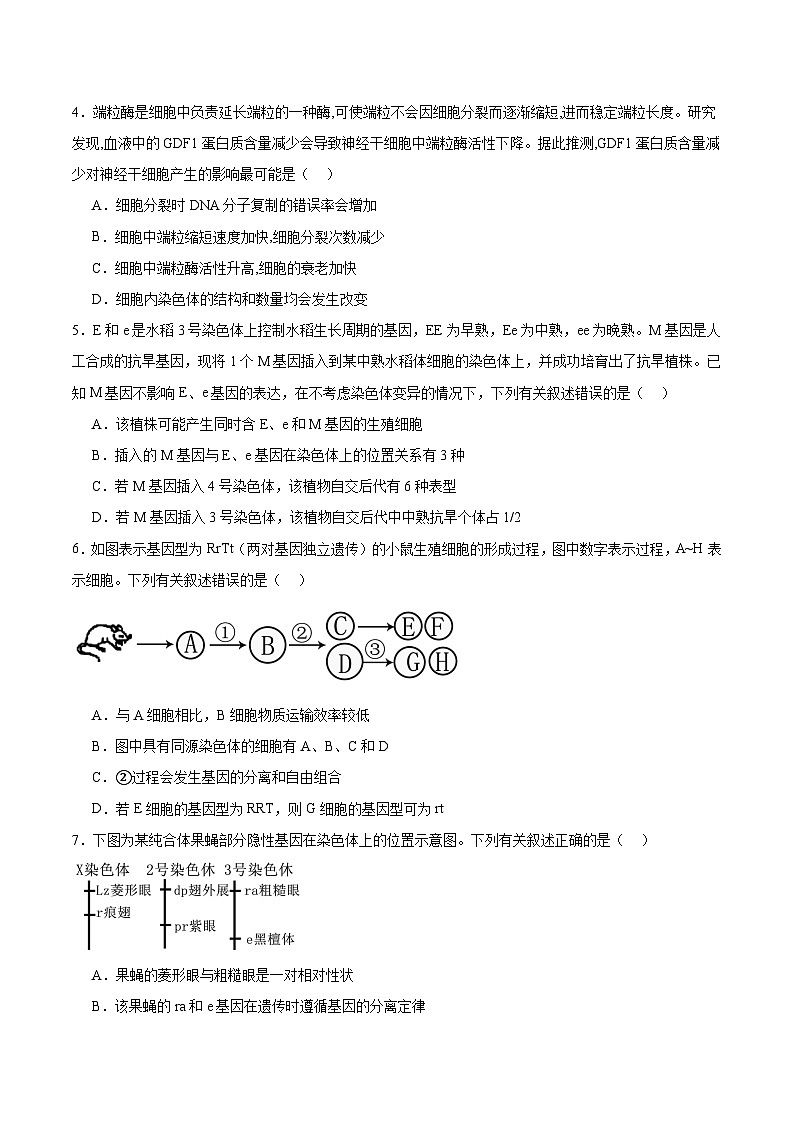 四川省泸州市2024-2025学年高一下学期期末统一考试 生物试卷第2页