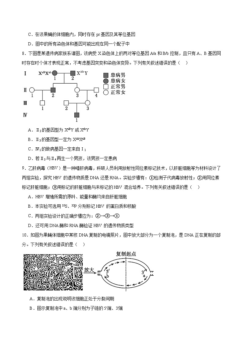 四川省泸州市2024-2025学年高一下学期期末统一考试 生物试卷第3页