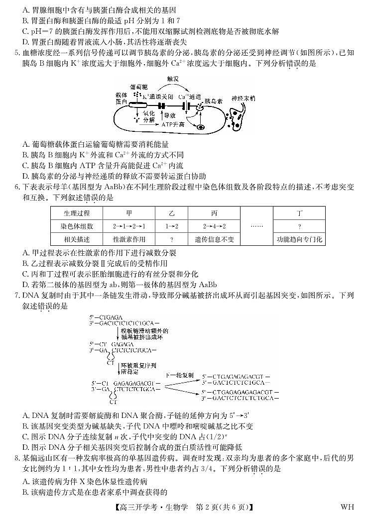 湖北省武汉市九师联盟2026届高三上学期8月开学考-生物试题+答案第2页