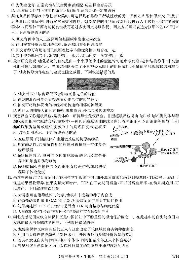 湖北省武汉市九师联盟2026届高三上学期8月开学考-生物试题+答案第3页