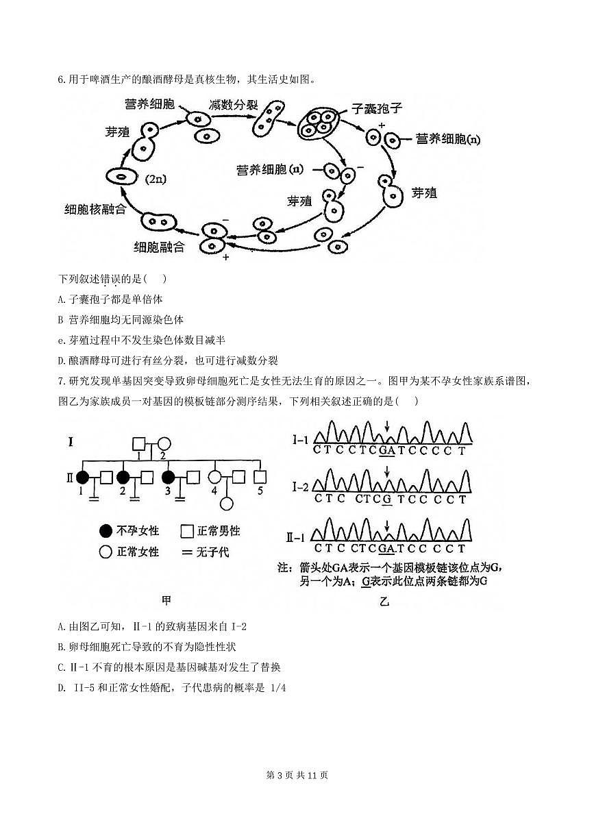 北京市人大附中学2026届高三上学期8月开学考-生物试题无答案第3页